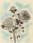 Bleistift 
